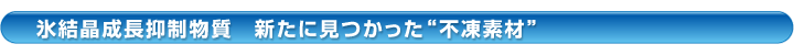 氷結晶成長抑制物質 新たに見つかった不凍素材