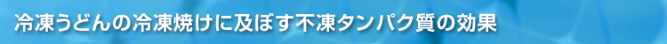 冷凍うどんの冷凍焼けに及ぼす不凍タンパク質の効果